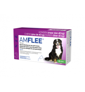 Amflee 402 mg (40 t/m 60 kg)