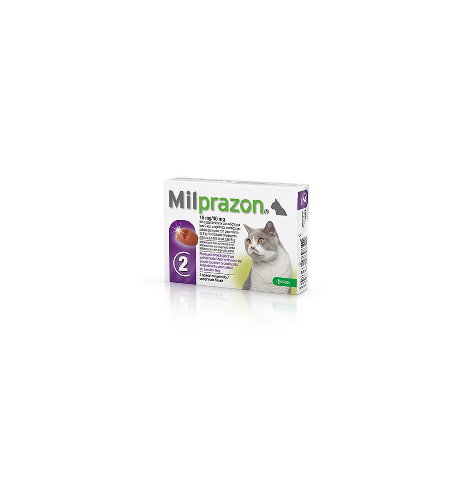 Milprazon Grote Kat -16 mg / 40 mg 2 tab