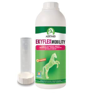 Audevard Ekyflex Mobility - 1000 ml