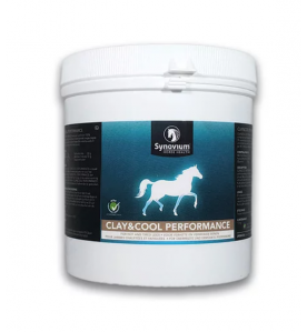 Synovium Clay & Cool 1.5 kg