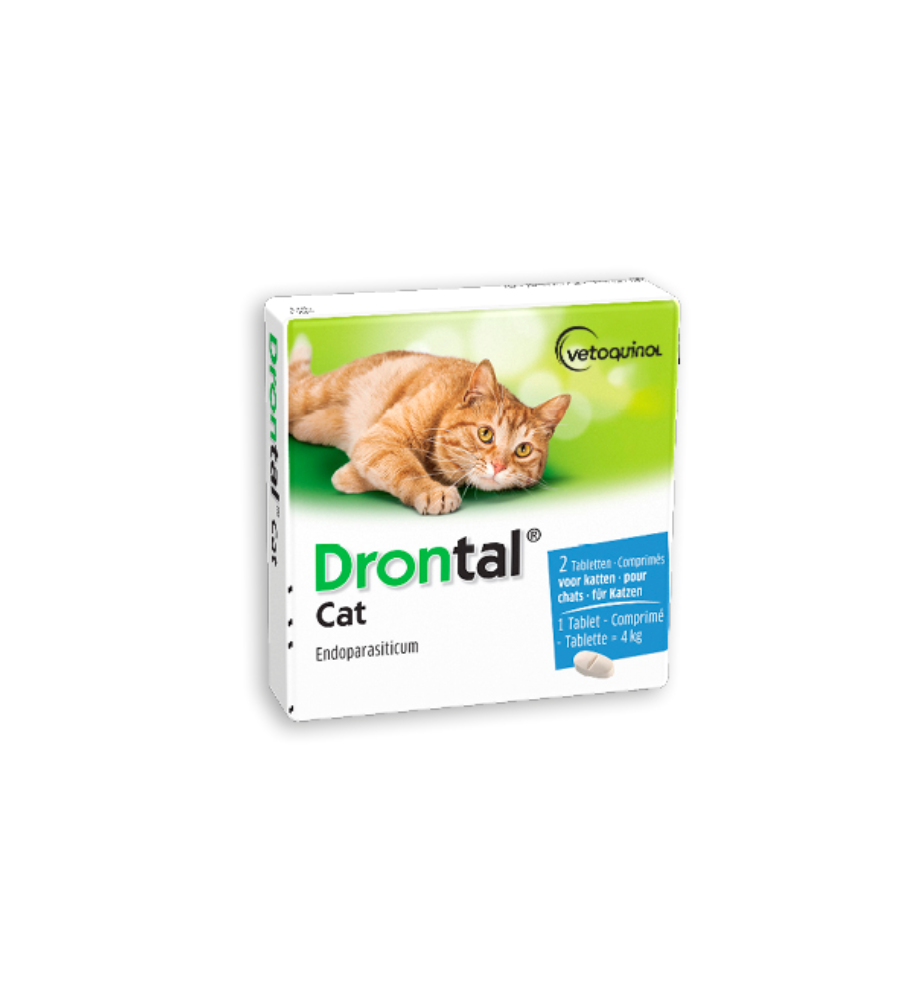 Drontal Cat