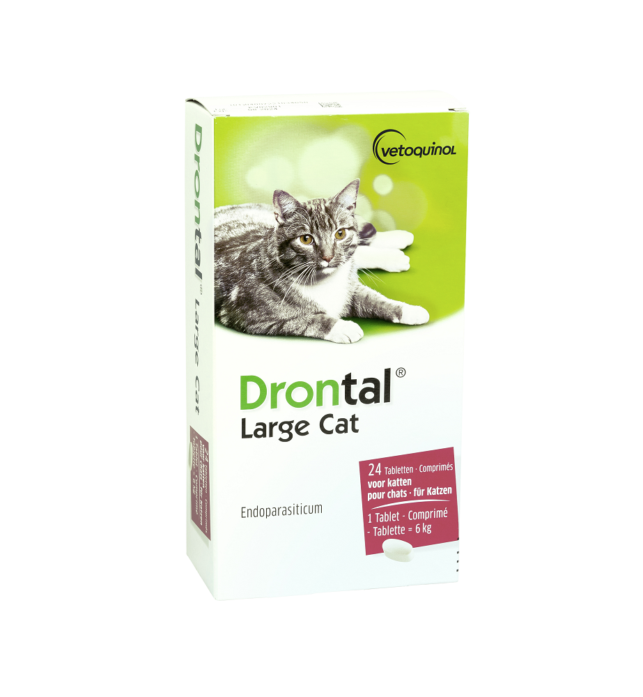 Drontal Large Cat (6 kg)