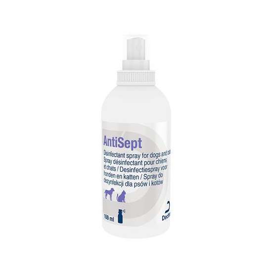 AntiSept Desinfectiespray 100 ml