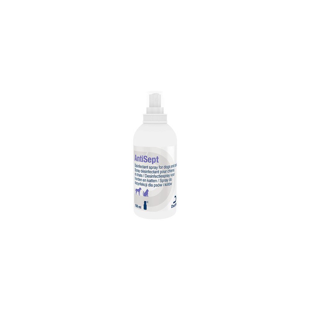 AntiSept Desinfectiespray 100 ml