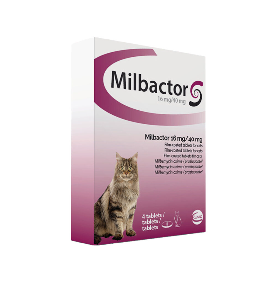 Milbactor Grote Kat (+2 kg) - 4 tab