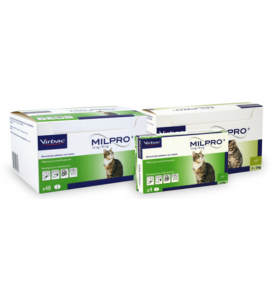 Milpro Grote Kat (+ 2 kg) - 4 tab