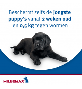 Milbemax Kleine Hond / Puppy Kauwtabletten