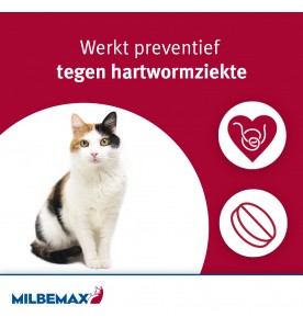 Milbemax Grote Kat