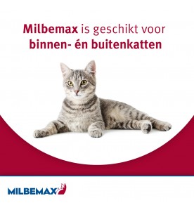 Milbemax Grote Kat