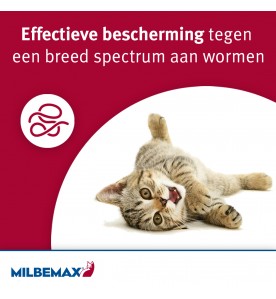 Milbemax Kleine Kat / Kitten