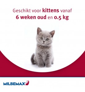 Milbemax Kleine Kat / Kitten