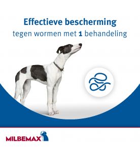 Milbemax Grote Hond (5 t/m 25 kg)