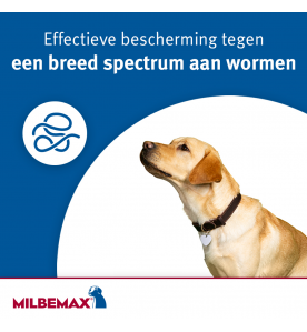 Milbemax Grote Hond (5 t/m 25 kg)