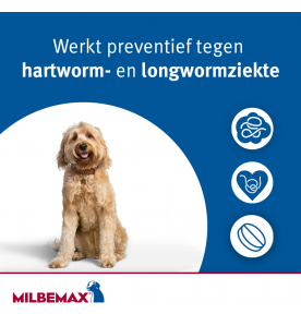 Milbemax Grote Hond (5 t/m 25 kg)