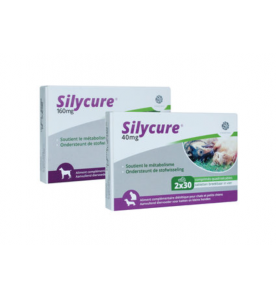 Silycure 40 mg - 60 tabletten