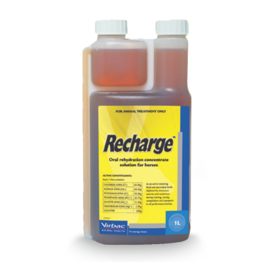 Recharge - 1 liter