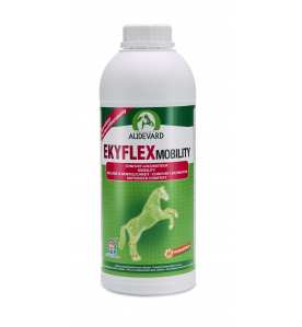 Audevard Ekyflex Mobility - 1000 ml