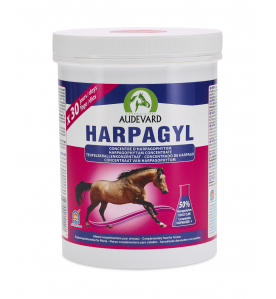 Audevard Harpagyl 450 gram