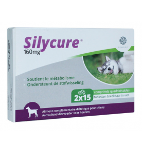 Silycure 160 mg - 30 tabletten