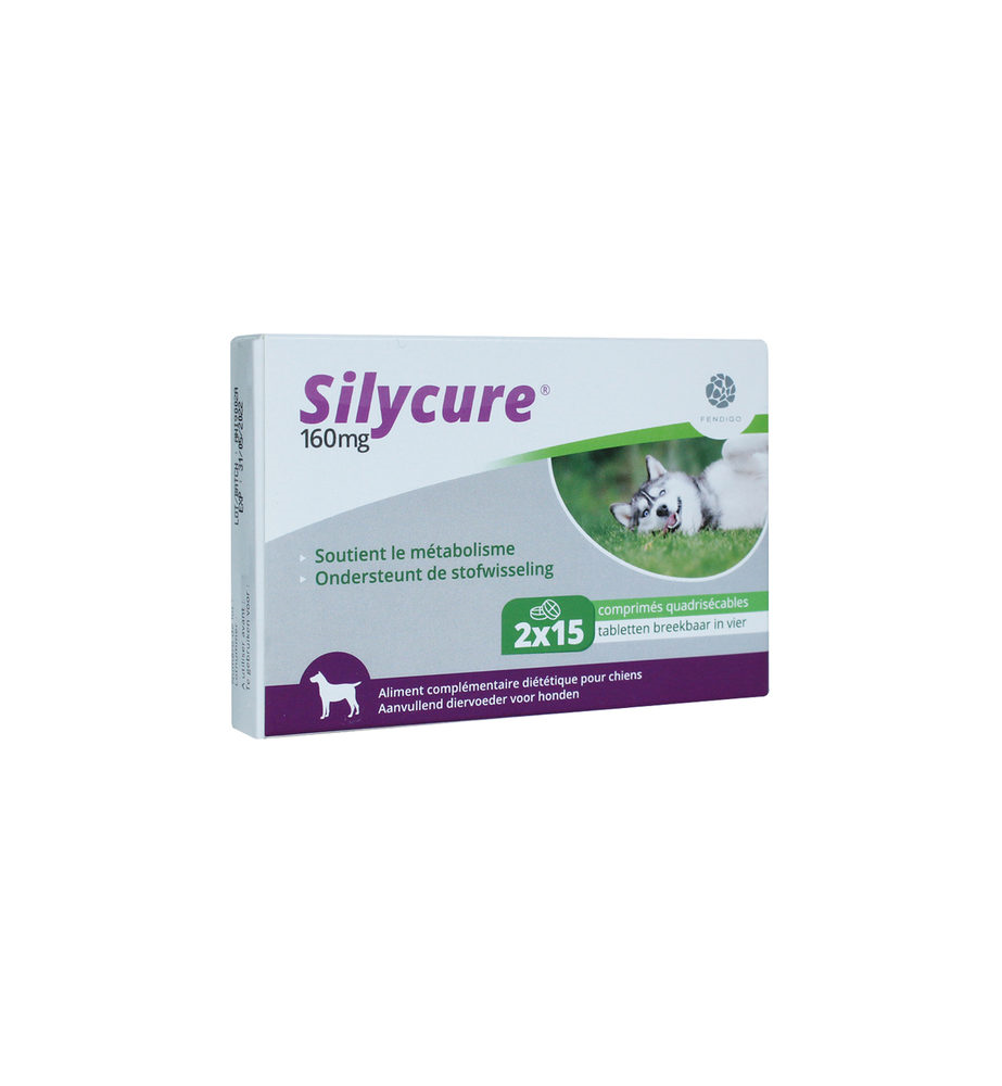 Silycure 160 mg - 30 tabletten