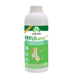 Ekyflex Arthro EVO Solution - 1 liter