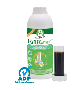 Ekyflex Arthro EVO Solution - 1 liter