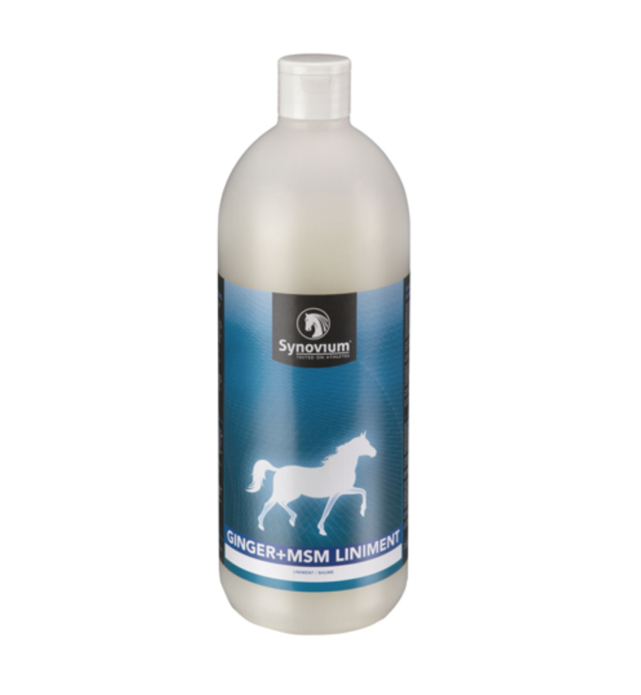 Synovium Ginger + MSM Liniment