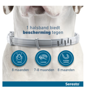 Seresto Grote Hond (+ 8kg) - 70 cm