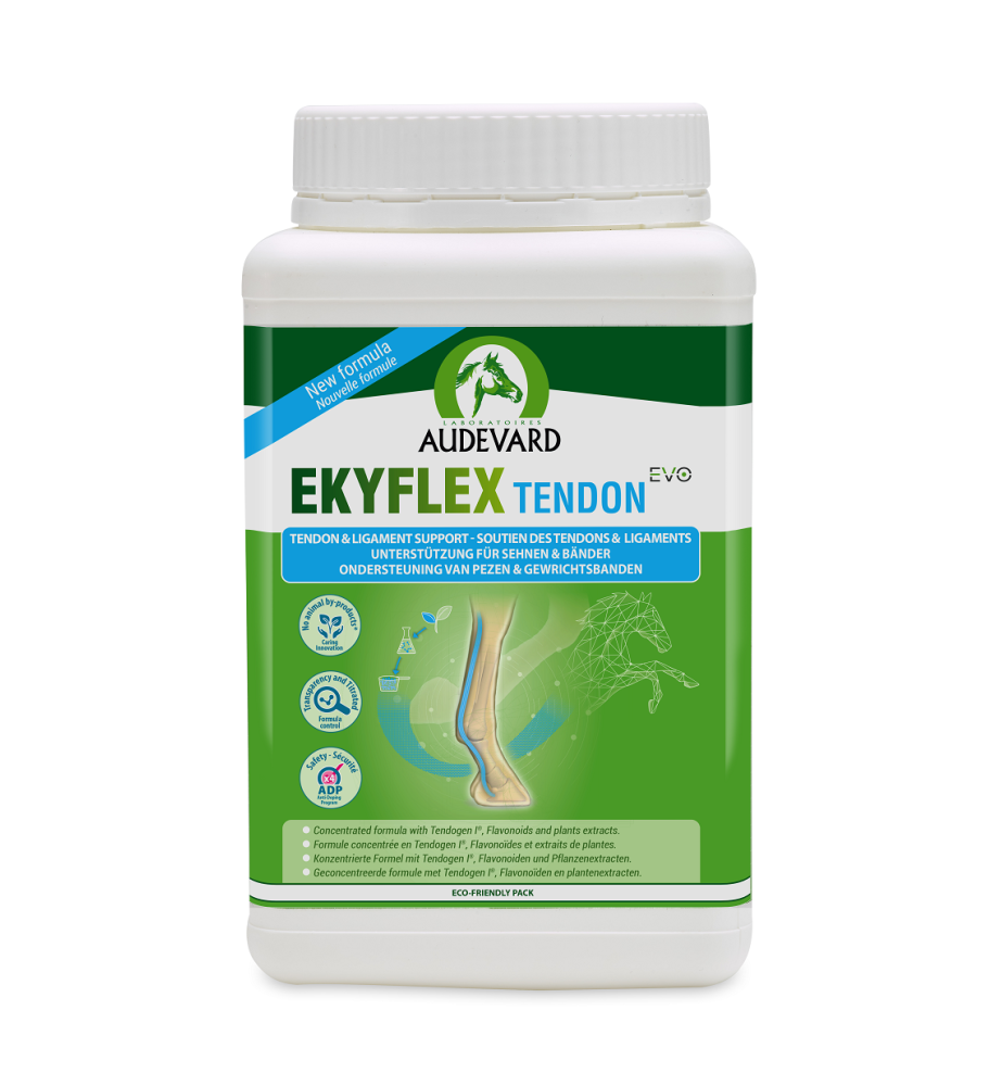 Audevard Ekyflex Tendon EVO 900 gram