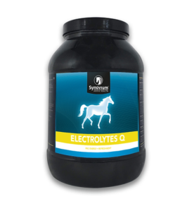 Synovium Electrolytes Q - 2.5 kg