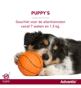 Advantix Kleiner dan 4 kg - 40/200