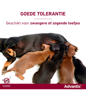 Advantix Kleiner dan 4 kg - 40/200