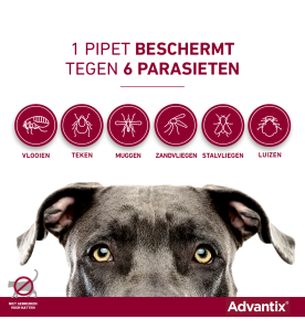 Advantix 25 t/m 40 kg - 400/2000 - 4 pip