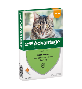 Advantage 40 Kat Kleiner dan 4 kg - 4 pipetten