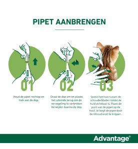 Advantage 40 Kat Kleiner dan 4 kg - 4 pipetten