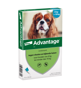 Advantage 100 - Hond 4 t/m 10 kg - 4 pipetten