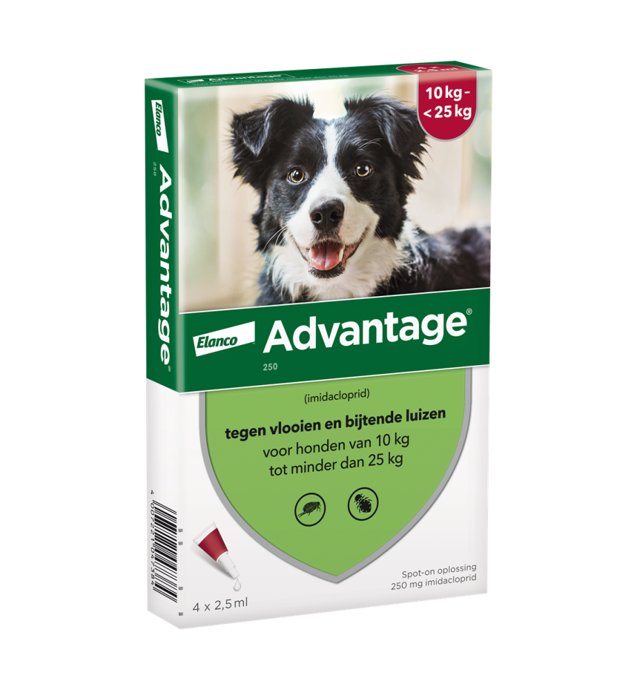 Advantage 250 - Hond 10 t/m 25 kg - 4 pipetten