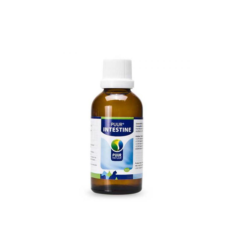 PUUR Intestine 50 ml