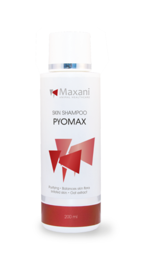 Maxani Pyomax Shampoo