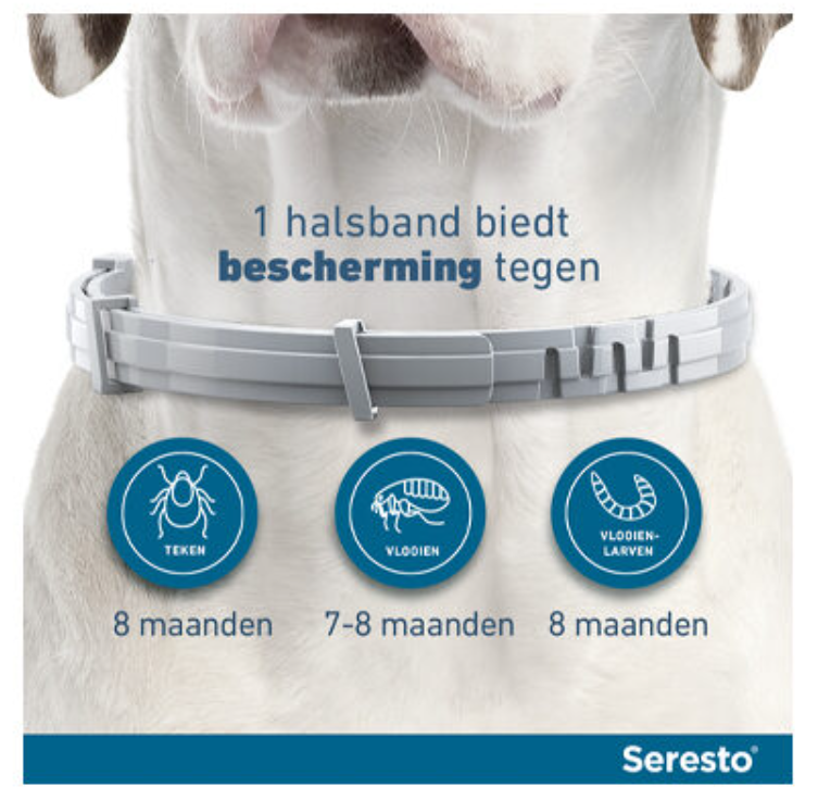 Seresto Hond