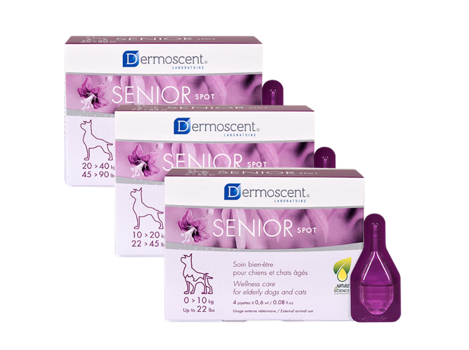 Dermoscent Senior